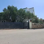 Dida Sime Starigrad Paklenica