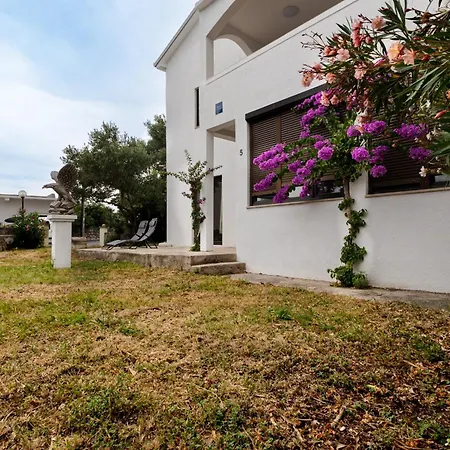 Dida Sime ستاريغغاد باكلينتسا