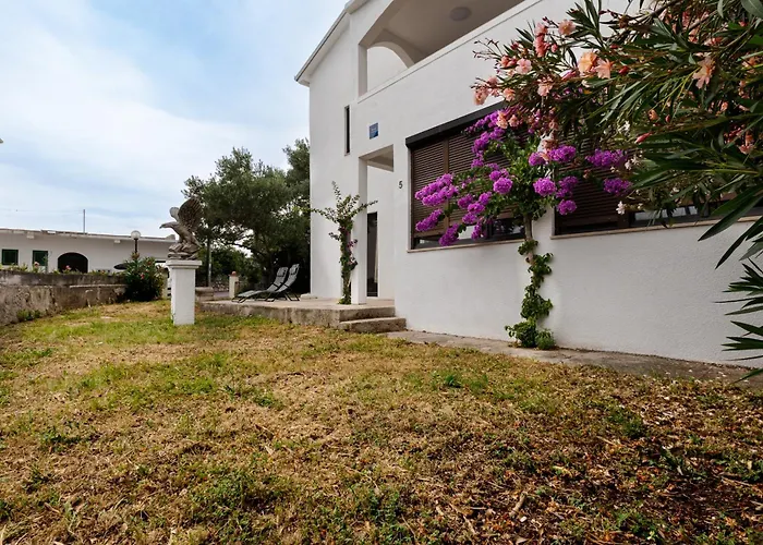 Dida Sime ستاريغغاد باكلينتسا